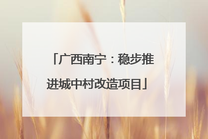 广西南宁：稳步推进城中村改造项目