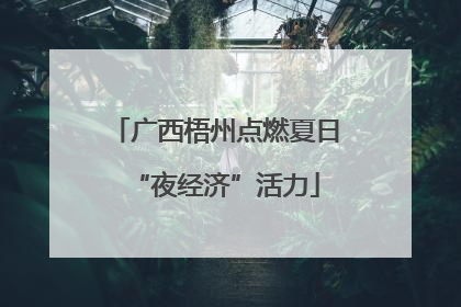 广西梧州点燃夏日“夜经济”活力