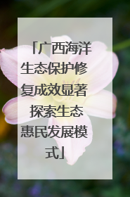 广西海洋生态保护修复成效显著 探索生态惠民发展模式