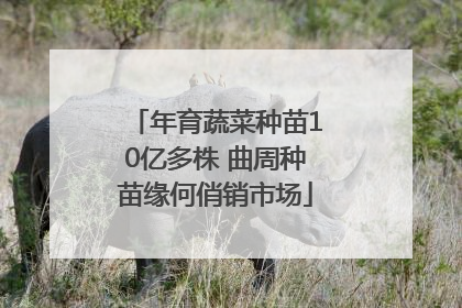 年育蔬菜种苗10亿多株 曲周种苗缘何俏销市场