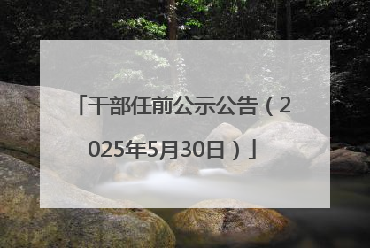 干部任前公示公告（2025年5月30日）