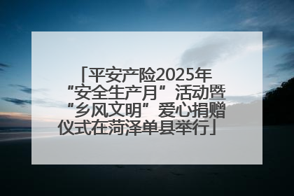 平安产险2025年“安全生产月”活动暨“乡风文明”爱心捐赠仪式在菏泽单县举行