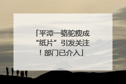 平潭一骆驼瘦成“纸片”引发关注！部门已介入