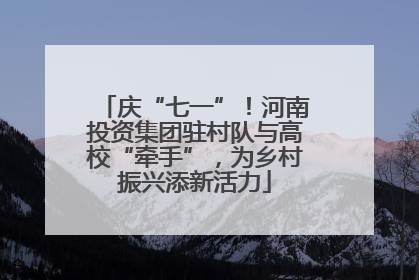 庆“七一”！河南投资集团驻村队与高校“牵手”，为乡村振兴添新活力