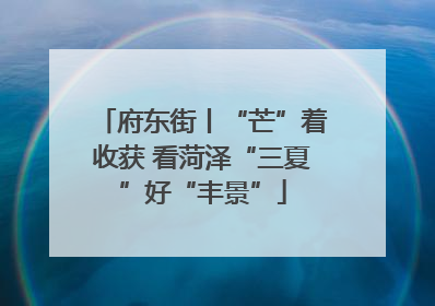 府东街丨“芒”着收获 看菏泽“三夏”好“丰景”