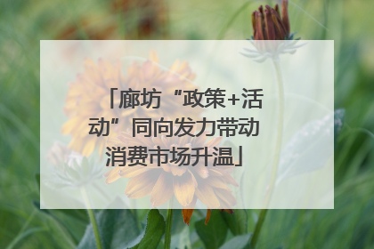 廊坊“政策+活动”同向发力带动消费市场升温