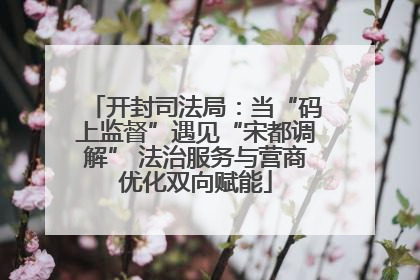 开封司法局：当“码上监督”遇见“宋都调解” 法治服务与营商优化双向赋能