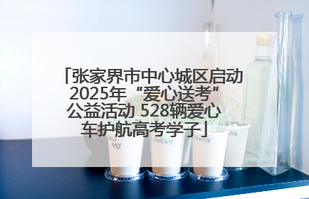 张家界市中心城区启动2025年“爱心送考”公益活动 528辆爱心车护航高考学子