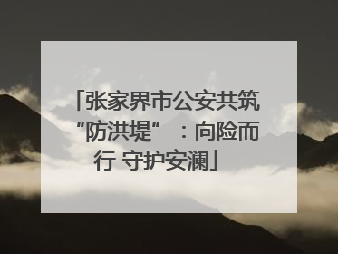 张家界市公安共筑“防洪堤”：向险而行 守护安澜