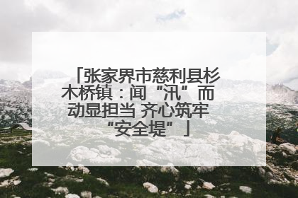 张家界市慈利县杉木桥镇：闻“汛”而动显担当 齐心筑牢“安全堤”