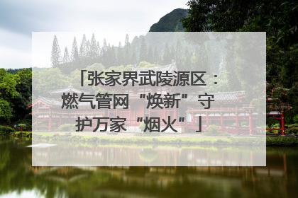 张家界武陵源区：燃气管网“焕新”守护万家“烟火”
