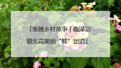 张掖乡村故事｜临泽富锶无花果抢“鲜”出道