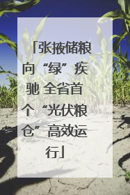 张掖储粮向“绿”疾驰 全省首个“光伏粮仓”高效运行