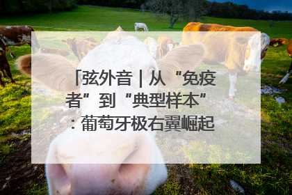 弦外音｜从“免疫者”到“典型样本”：葡萄牙极右翼崛起背后的欧洲困局