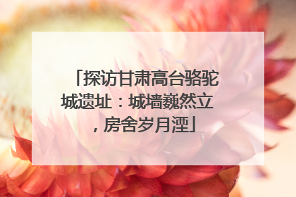 探访甘肃高台骆驼城遗址：城墙巍然立，房舍岁月湮