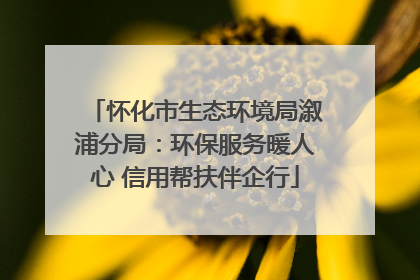 怀化市生态环境局溆浦分局：环保服务暖人心 信用帮扶伴企行