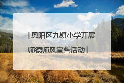 恩阳区九镇小学开展师德师风宣誓活动