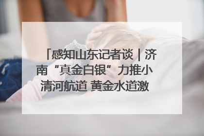 感知山东记者谈｜济南“真金白银”力推小清河航道 黄金水道激活区域经济新动能