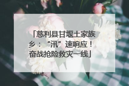 慈利县甘堰土家族乡：“汛”速响应！奋战抢险救灾一线