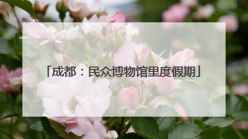 成都：民众博物馆里度假期