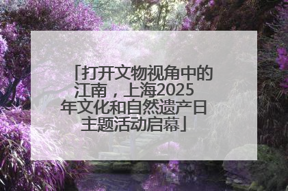 打开文物视角中的江南，上海2025年文化和自然遗产日主题活动启幕