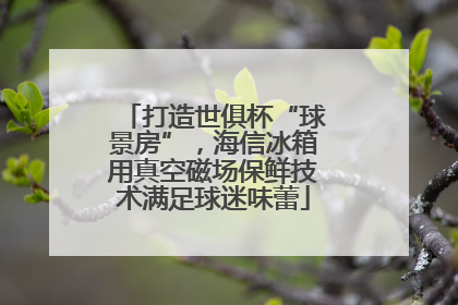 打造世俱杯“球景房”，海信冰箱用真空磁场保鲜技术满足球迷味蕾