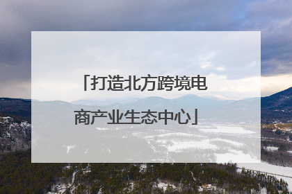 打造北方跨境电商产业生态中心