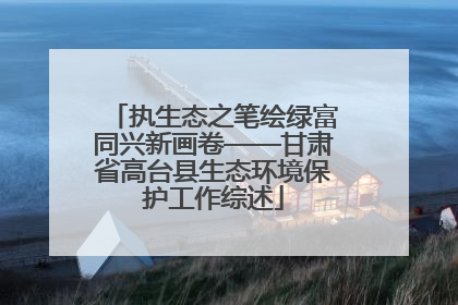 执生态之笔绘绿富同兴新画卷——甘肃省高台县生态环境保护工作综述