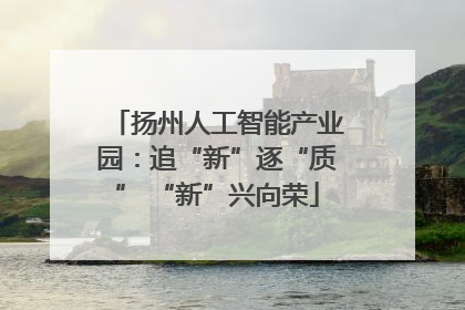 扬州人工智能产业园：追“新”逐“质” “新”兴向荣