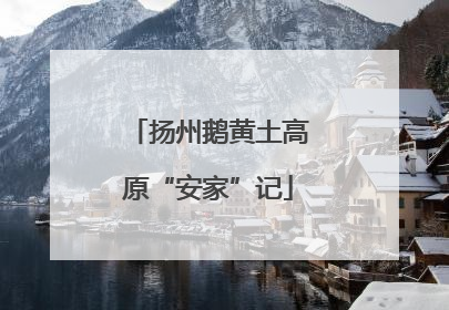 扬州鹅黄土高原“安家”记