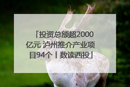 投资总额超2000亿元 泸州推介产业项目94个丨数读西投