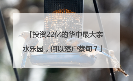 投资22亿的华中最大亲水乐园，何以落户蔡甸？