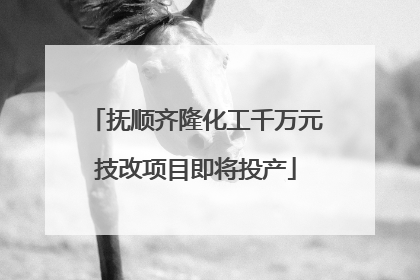 抚顺齐隆化工千万元技改项目即将投产