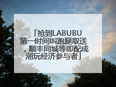 抢到LABUBU第一时间叫跑腿取送，顺丰同城等即配成潮玩经济参与者