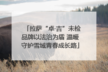 拉萨“卓·吉”未检品牌以法治为盾 温暖守护雪域青春成长路