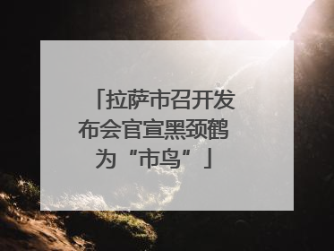 拉萨市召开发布会官宣黑颈鹤为“市鸟”