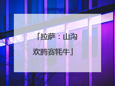 拉萨：山沟欢腾赛牦牛