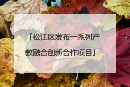 松江区发布一系列产教融合创新合作项目
