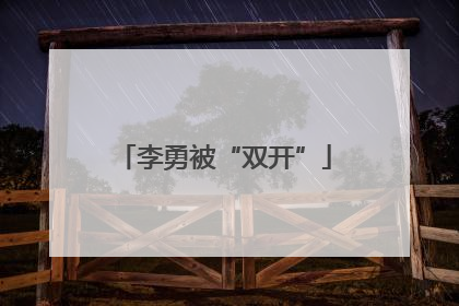 李勇被“双开”