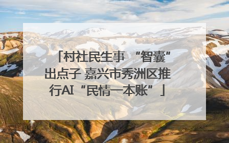 村社民生事 “智囊”出点子 嘉兴市秀洲区推行AI“民情一本账”