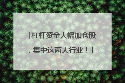 杠杆资金大幅加仓股，集中这两大行业！
