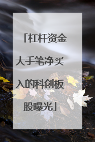 杠杆资金大手笔净买入的科创板股曝光