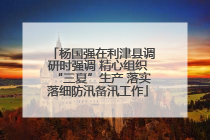 杨国强在利津县调研时强调 精心组织“三夏”生产 落实落细防汛备汛工作