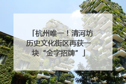 杭州唯一！清河坊历史文化街区再获一块“金字招牌”