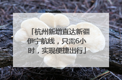 杭州新增直达新疆伊宁航线，只需6小时，实现便捷出行