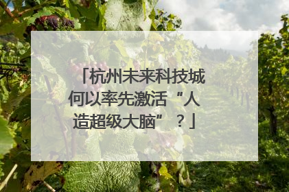 杭州未来科技城何以率先激活“人造超级大脑”？