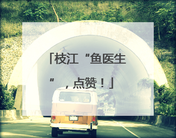 枝江“鱼医生”，点赞！