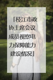 枝江市政协主席会议成员视察电力保障能力建设情况