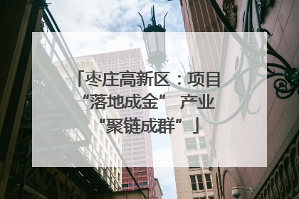 枣庄高新区：项目“落地成金” 产业“聚链成群”