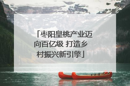 枣阳皇桃产业迈向百亿级 打造乡村振兴新引擎